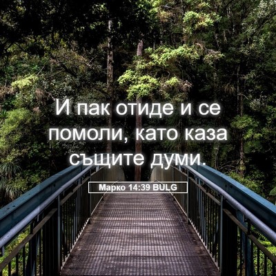 Picture 05 - Марко 14:39 BULG - И пак отиде и се помоли, - Bible Verse Picture