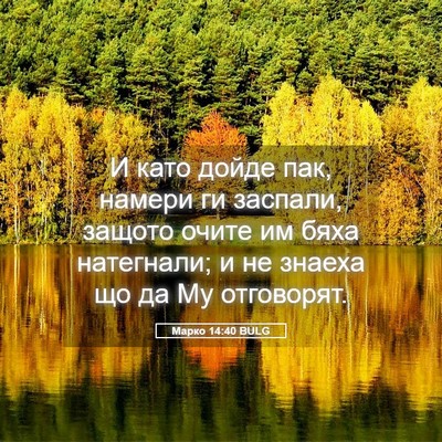 Picture 05 - Марко 14:40 BULG - И като дойде пак, намери ги - Bible Verse Picture