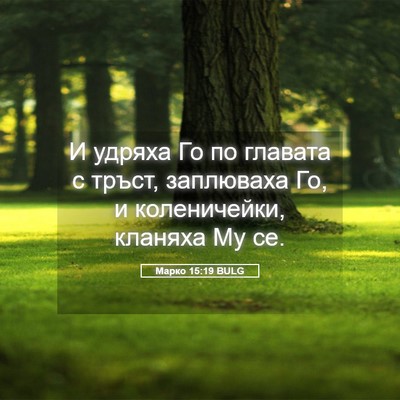 Picture 05 - Марко 15:19 BULG - И удряха Го по главата с - Bible Verse Picture