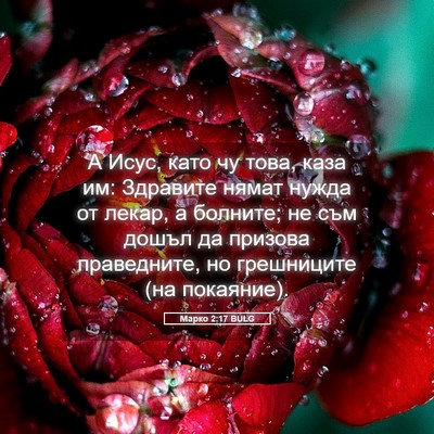 Picture 05 - Марко 2:17 BULG - А Исус, като чу това, каза - Bible Verse Picture