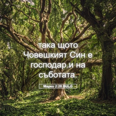 Picture 05 - Марко 2:28 BULG - така щото Човешкият Син е - Bible Verse Picture