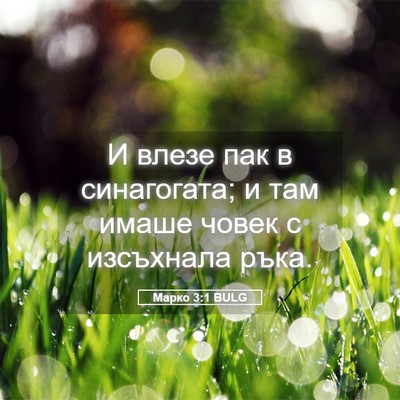 Picture 05 - Марко 3:1 BULG - И влезе пак в синагогата; и - Bible Verse Picture