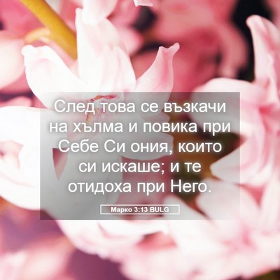 Picture 05 - Марко 3:13 BULG - След това се възкачи на - Bible Verse Picture