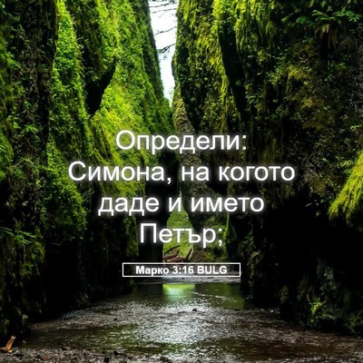 Picture 05 - Марко 3:16 BULG - Определи: Симона, на когото - Bible Verse Picture