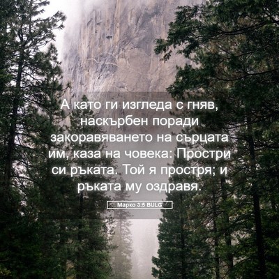 Picture 05 - Марко 3:5 BULG - А като ги изгледа с гняв, - Bible Verse Picture