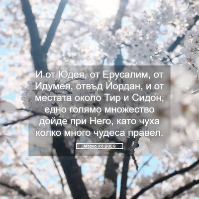 Picture 05 - Марко 3:8 BULG - И от Юдея, от Ерусалим, от - Bible Verse Picture