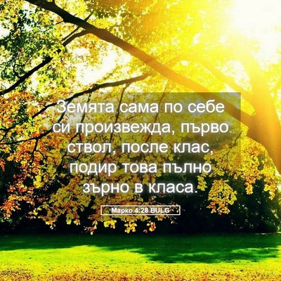 Picture 05 - Марко 4:28 BULG - Земята сама по себе си - Bible Verse Picture