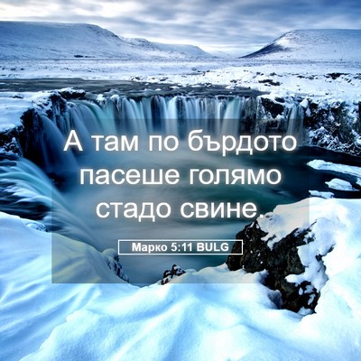 Picture 05 - Марко 5:11 BULG - А там по бърдото пасеше - Bible Verse Picture