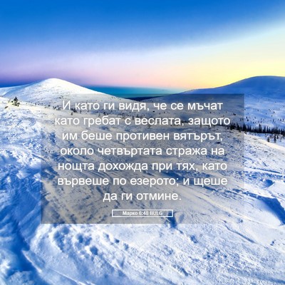 Picture 05 - Марко 6:48 BULG - И като ги видя, че се мъчат - Bible Verse Picture