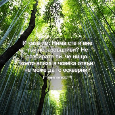Picture 05 - Марко 7:18 BULG - И каза им: Нима сте и вие - Bible Verse Picture