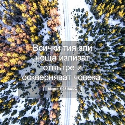 Picture 05 - Марко 7:23 BULG - Всички тия зли неща - Bible Verse Picture