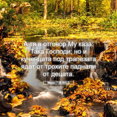 Picture 05 - Марко 7:28 BULG - А тя в отговор Му каза: Така - Bible Verse Picture