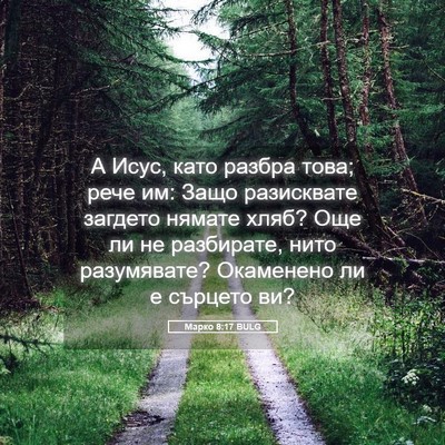 Picture 05 - Марко 8:17 BULG - А Исус, като разбра това; - Bible Verse Picture