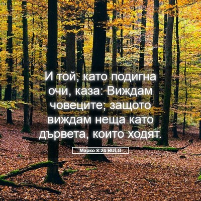 Picture 05 - Марко 8:24 BULG - И той, като подигна очи, - Bible Verse Picture
