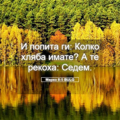 Picture 05 - Марко 8:5 BULG - И попита ги: Колко хляба - Bible Verse Picture