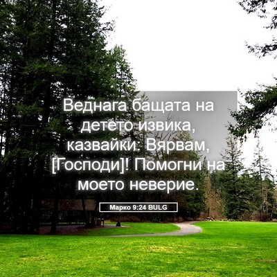 Picture 05 - Марко 9:24 BULG - Веднага бащата на детето - Bible Verse Picture