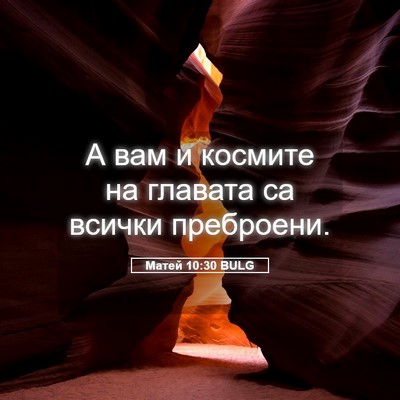 Picture 05 - Матей 10:30 BULG - А вам и космите на главата - Bible Verse Picture
