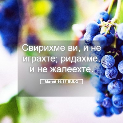 Picture 05 - Матей 11:17 BULG - Свирихме ви, и не играхте; - Bible Verse Picture