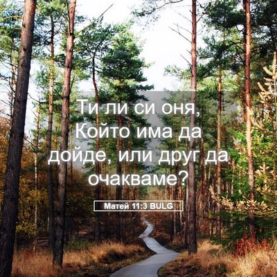 Picture 05 - Матей 11:3 BULG - Ти ли си оня, Който има да - Bible Verse Picture