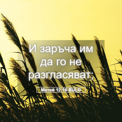 Picture 05 - Матей 12:16 BULG - И заръча им да го не - Bible Verse Picture