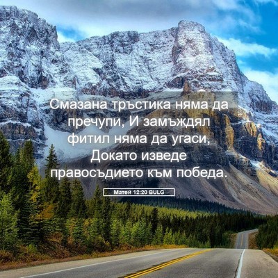 Picture 05 - Матей 12:20 BULG - Смазана тръстика няма да - Bible Verse Picture