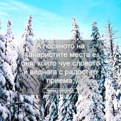 Picture 05 - Матей 13:20 BULG - А посяното на канаристите - Bible Verse Picture