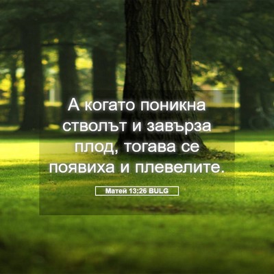Picture 05 - Матей 13:26 BULG - А когато поникна стволът и - Bible Verse Picture