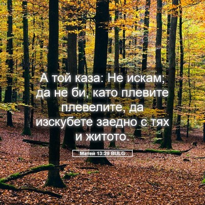Picture 05 - Матей 13:29 BULG - А той каза: Не искам; да не - Bible Verse Picture