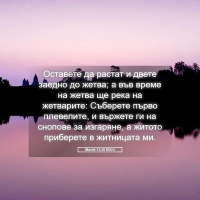 Picture 05 - Матей 13:30 BULG - Оставете да растат и двете - Bible Verse Picture