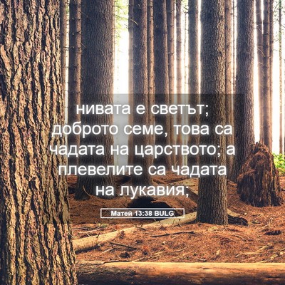 Picture 05 - Матей 13:38 BULG - нивата е светът; доброто - Bible Verse Picture
