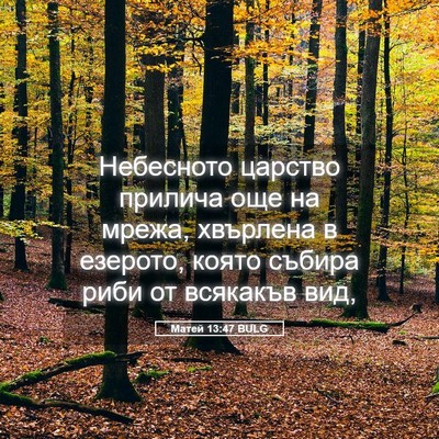 Picture 05 - Матей 13:47 BULG - Небесното царство прилича - Bible Verse Picture