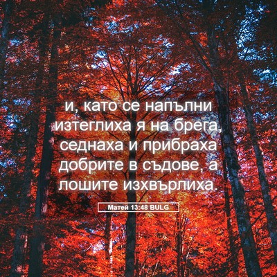 Picture 05 - Матей 13:48 BULG - и, като се напълни - Bible Verse Picture