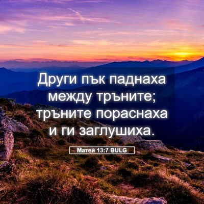 Picture 05 - Матей 13:7 BULG - Други пък паднаха между - Bible Verse Picture