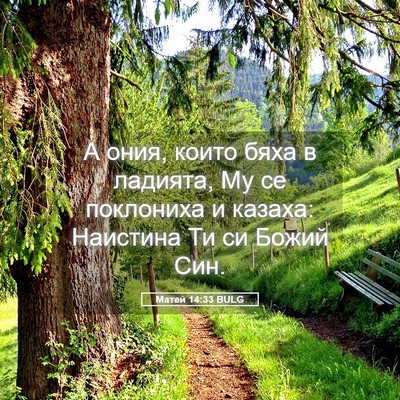 Picture 05 - Матей 14:33 BULG - А ония, които бяха в - Bible Verse Picture