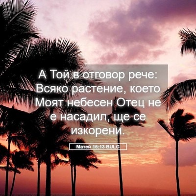 Picture 05 - Матей 15:13 BULG - А Той в отговор рече: Всяко - Bible Verse Picture
