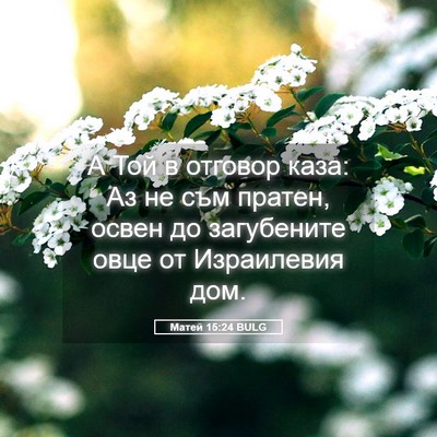 Picture 05 - Матей 15:24 BULG - А Той в отговор каза: Аз не - Bible Verse Picture