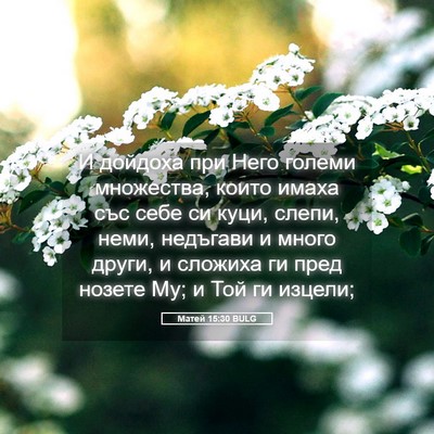 Picture 05 - Матей 15:30 BULG - И дойдоха при Него големи - Bible Verse Picture