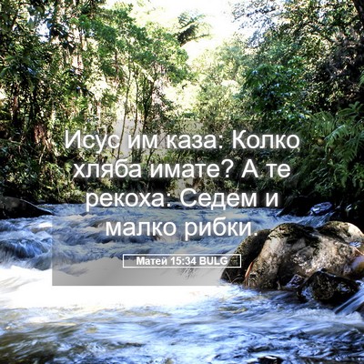 Picture 05 - Матей 15:34 BULG - Исус им каза: Колко хляба - Bible Verse Picture