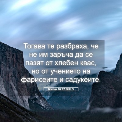 Picture 05 - Матей 16:12 BULG - Тогава те разбраха, че не - Bible Verse Picture