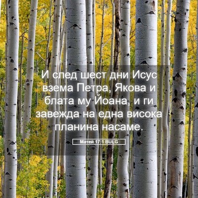 Picture 05 - Матей 17:1 BULG - И след шест дни Исус взема - Bible Verse Picture