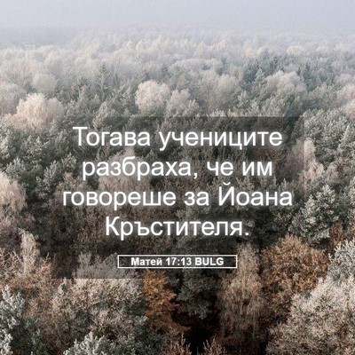 Picture 05 - Матей 17:13 BULG - Тогава учениците разбраха, - Bible Verse Picture