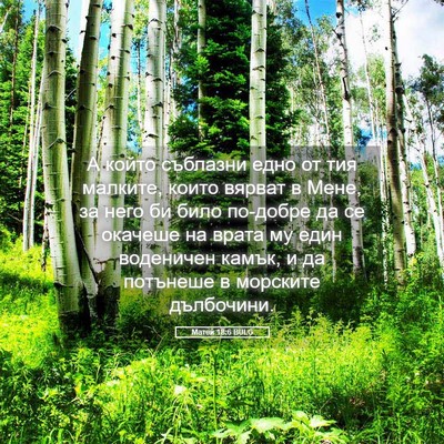 Picture 05 - Матей 18:6 BULG - А който съблазни едно от - Bible Verse Picture