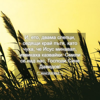 Picture 05 - Матей 20:30 BULG - И, ето, двама слепци, седящи - Bible Verse Picture