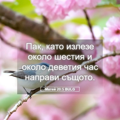 Picture 05 - Матей 20:5 BULG - Пак, като излезе около - Bible Verse Picture