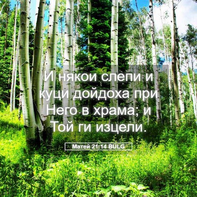 Picture 05 - Матей 21:14 BULG - И някои слепи и куци - Bible Verse Picture