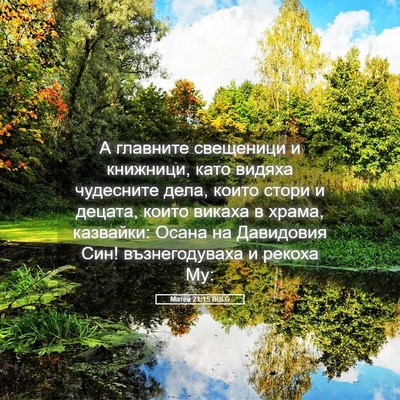 Picture 05 - Матей 21:15 BULG - А главните свещеници и - Bible Verse Picture