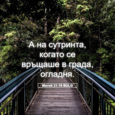 Picture 05 - Матей 21:18 BULG - А на сутринта, когато се - Bible Verse Picture