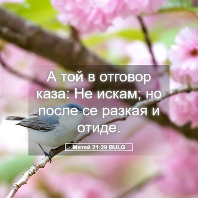 Picture 05 - Матей 21:29 BULG - А той в отговор каза: Не - Bible Verse Picture