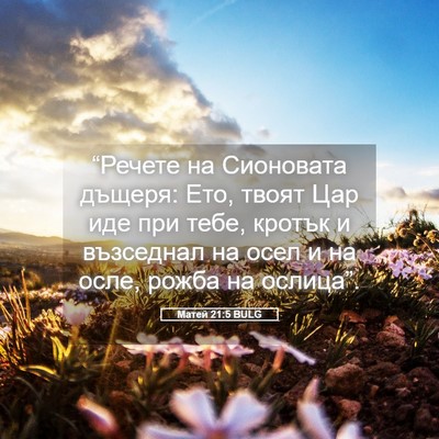 Picture 05 - Матей 21:5 BULG - “Речете на Сионовата - Bible Verse Picture