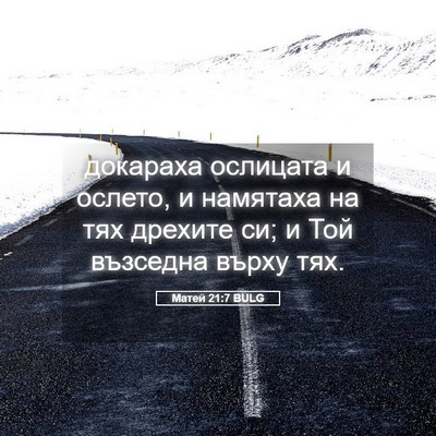 Picture 05 - Матей 21:7 BULG - докараха ослицата и - Bible Verse Picture